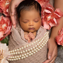 Latest Photo Sample Nov 25