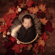 Newborn Photo Sample -- 2025-10-09