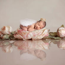 Newborn Photo Sample -- 2024-05-29