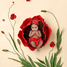 Baby Photo Sample -- 2023-01-27