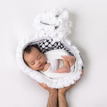 Newborn Photo Sample -- 2024-07-05