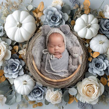 Newborn Photo Sample -- 2024-10-20